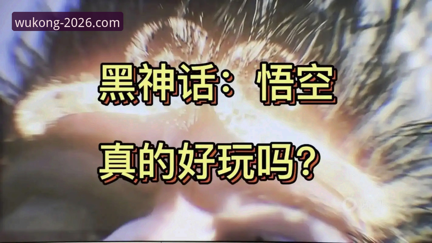 如何快速搞定悟空体育网页版登录？2026新版实战指南